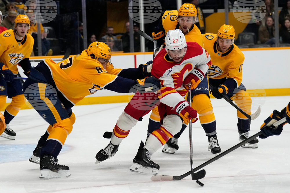 Flames Predators Hockey