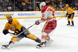 Flames Predators Hockey