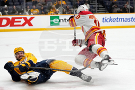 Flames Predators Hockey