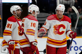 Flames Predators Hockey