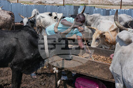 Migration Ivory Coast Herders