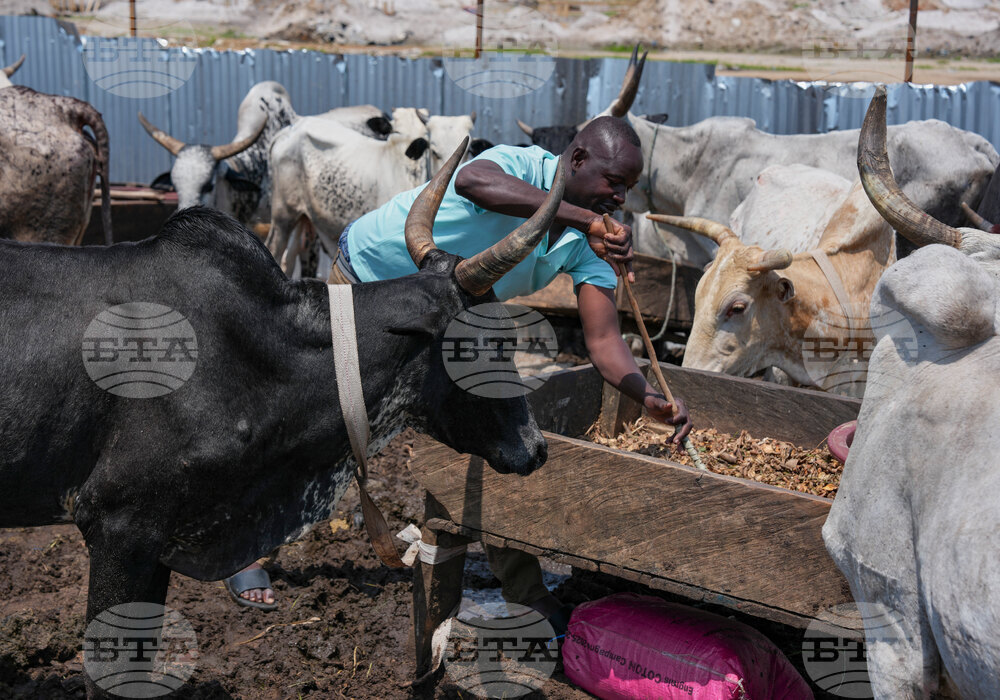 Migration Ivory Coast Herders
