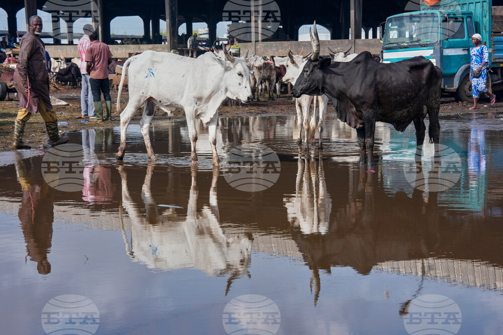 Migration Ivory Coast Herders