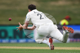 New Zealand West Indies Cricket