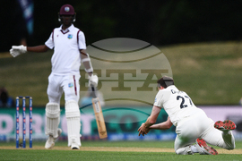 New Zealand West Indies Cricket