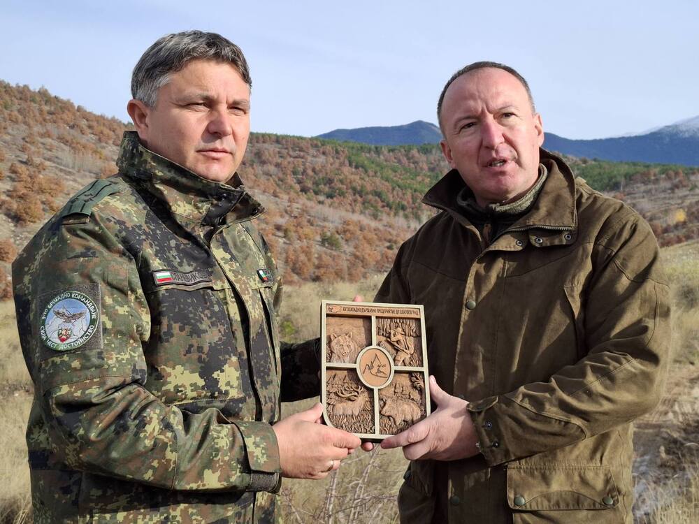 Горски служители и военни се обединиха за възстановяване на опожарена гора край Симитли, съобщиха от ЮЗДП