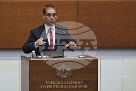 Народно събрание - заседание - Севим Али