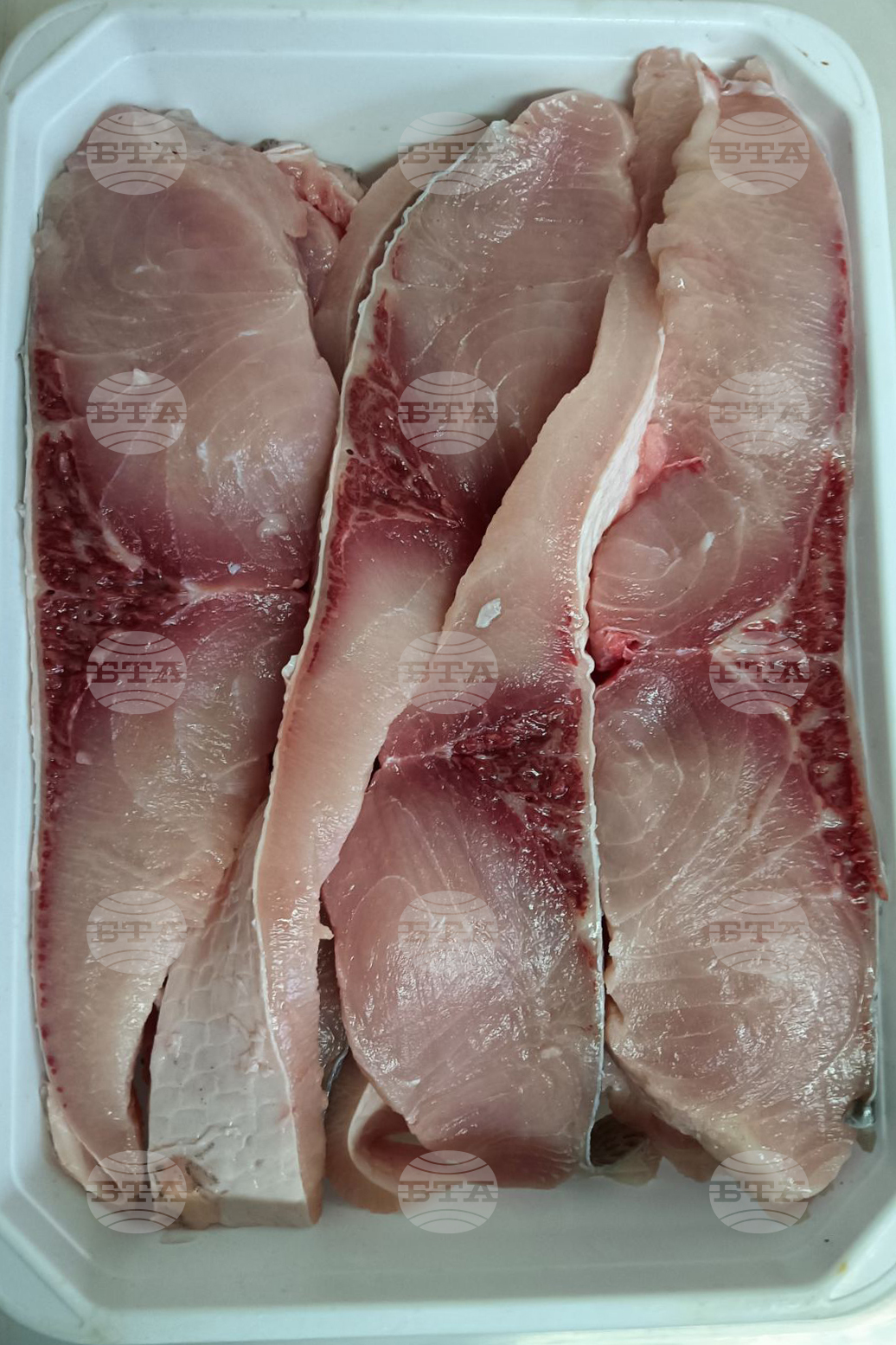 Троян - Никулден - риба - цени