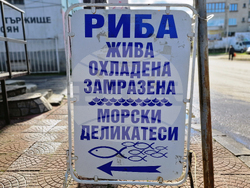 Троян - Никулден - риба - цени