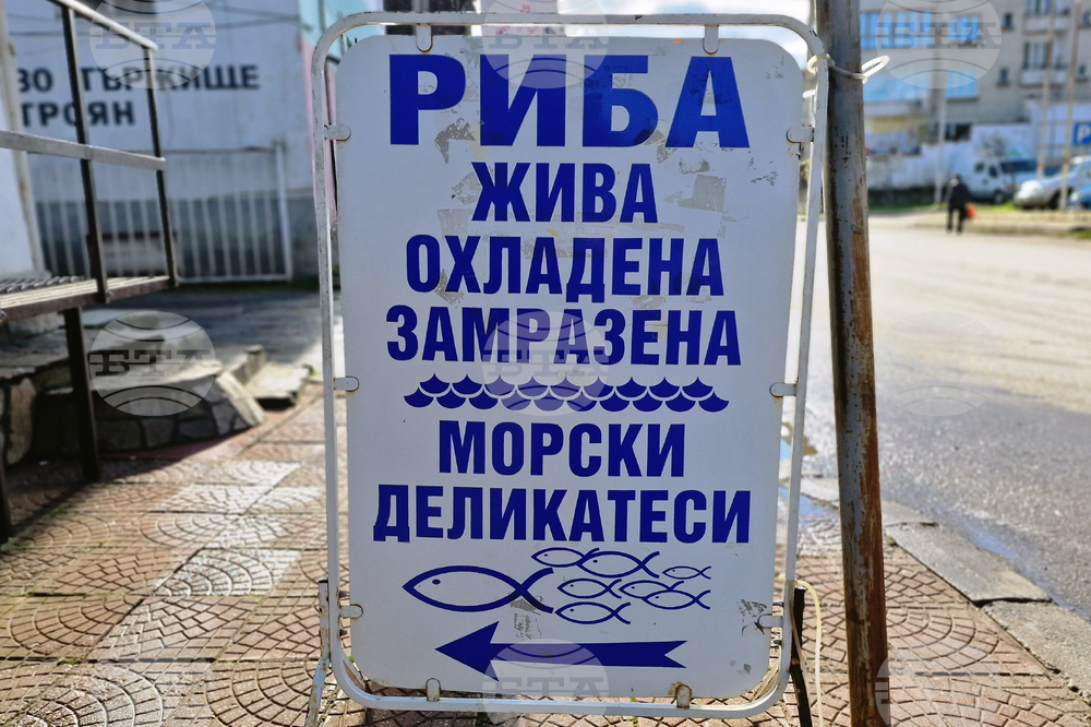 Троян - Никулден - риба - цени