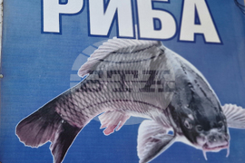 Троян - Никулден - риба - цени