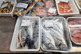 Троян - Никулден - риба - цени