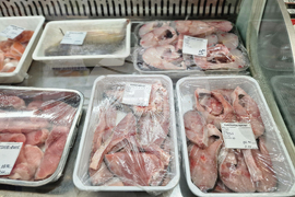 Троян - Никулден - риба - цени