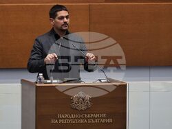 Народно събрание - заседание - Радостин Василев