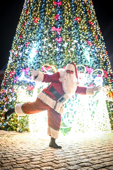 Столична община: Коледната елха на София грейна с хиляди светлини