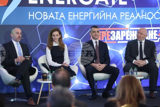 Темата за съхранението на енергия е ключова за енергийното бъдеще на Европа, каза евродепутатът Цветелина Пенкова