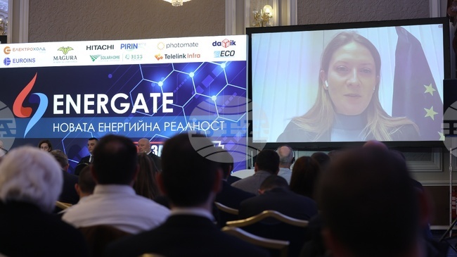 Topic of Energy Storage Key to Europe’s Energy Future, Says MEP Tsvetelina Penkova