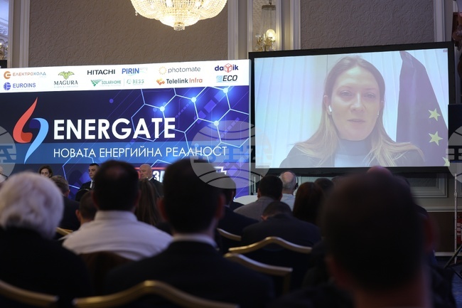 Energy Storage Is Key to Europe’s Energy Future, Says MEP Tsvetelina Penkova