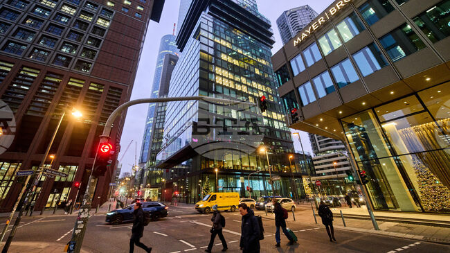 Над 75% от домакинствата в Германия говорят само немски език у дома