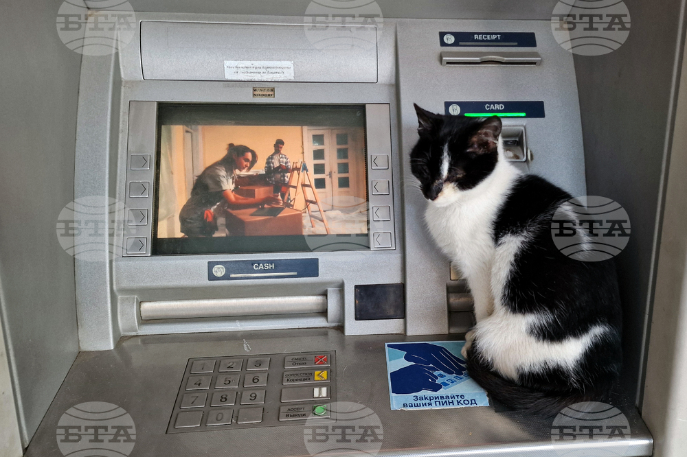 Banking System Reports 3.3% Rise in Profit at End-September, Y/Y 