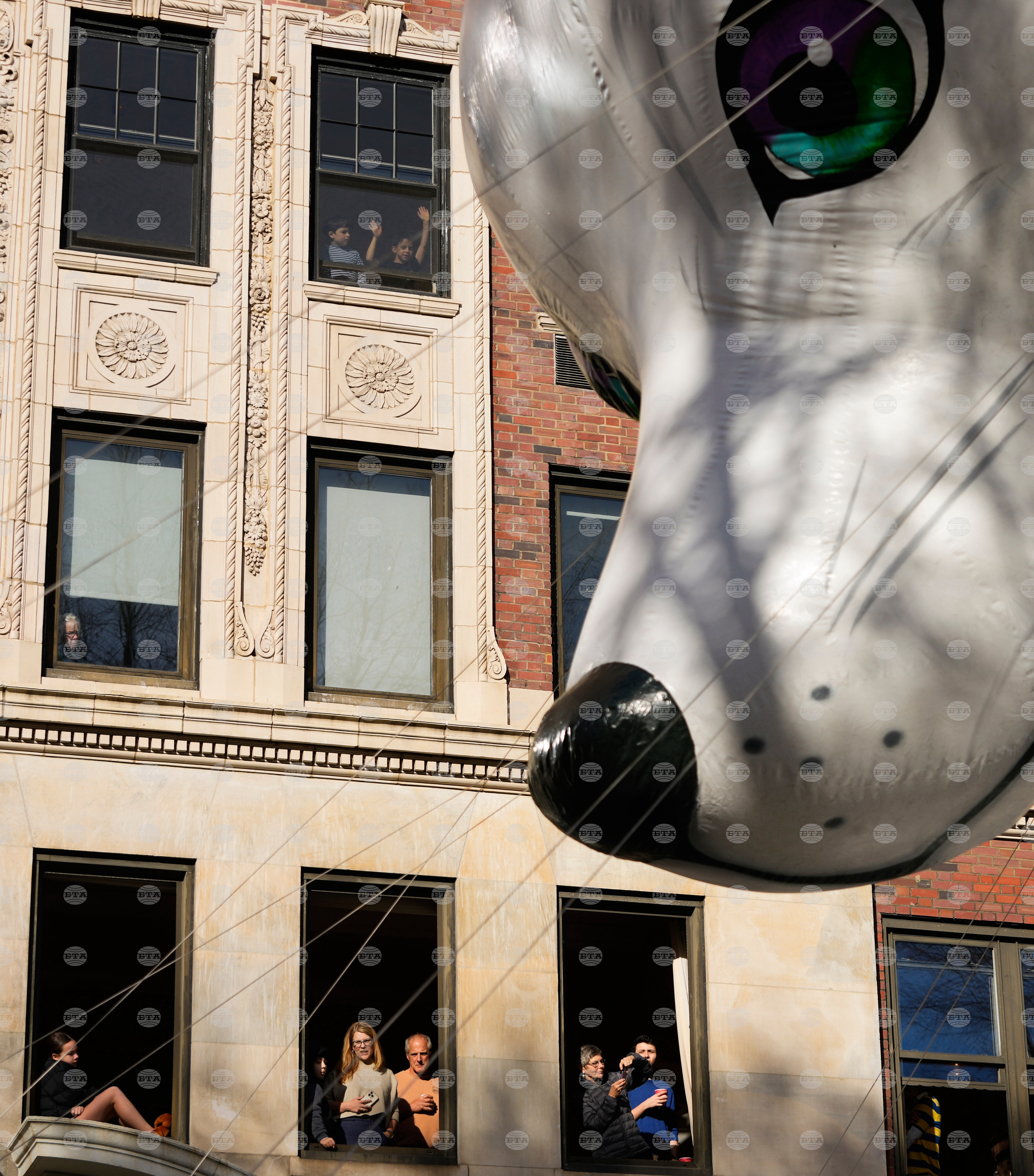 Top Vertical Photos Photo Gallery