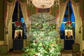 Top Vertical Photos Photo Gallery