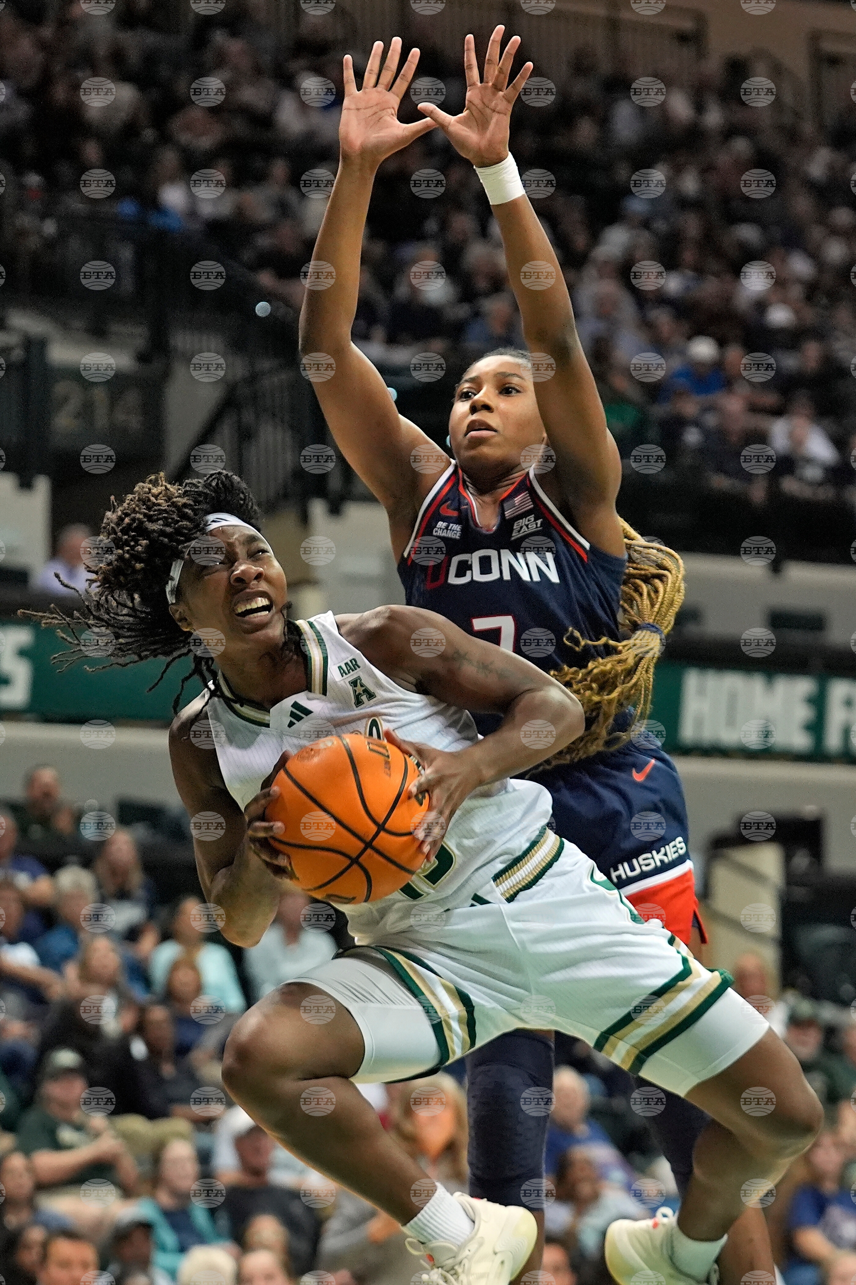 Top Vertical Photos Photo Gallery