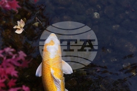 Top Vertical Photos Photo Gallery