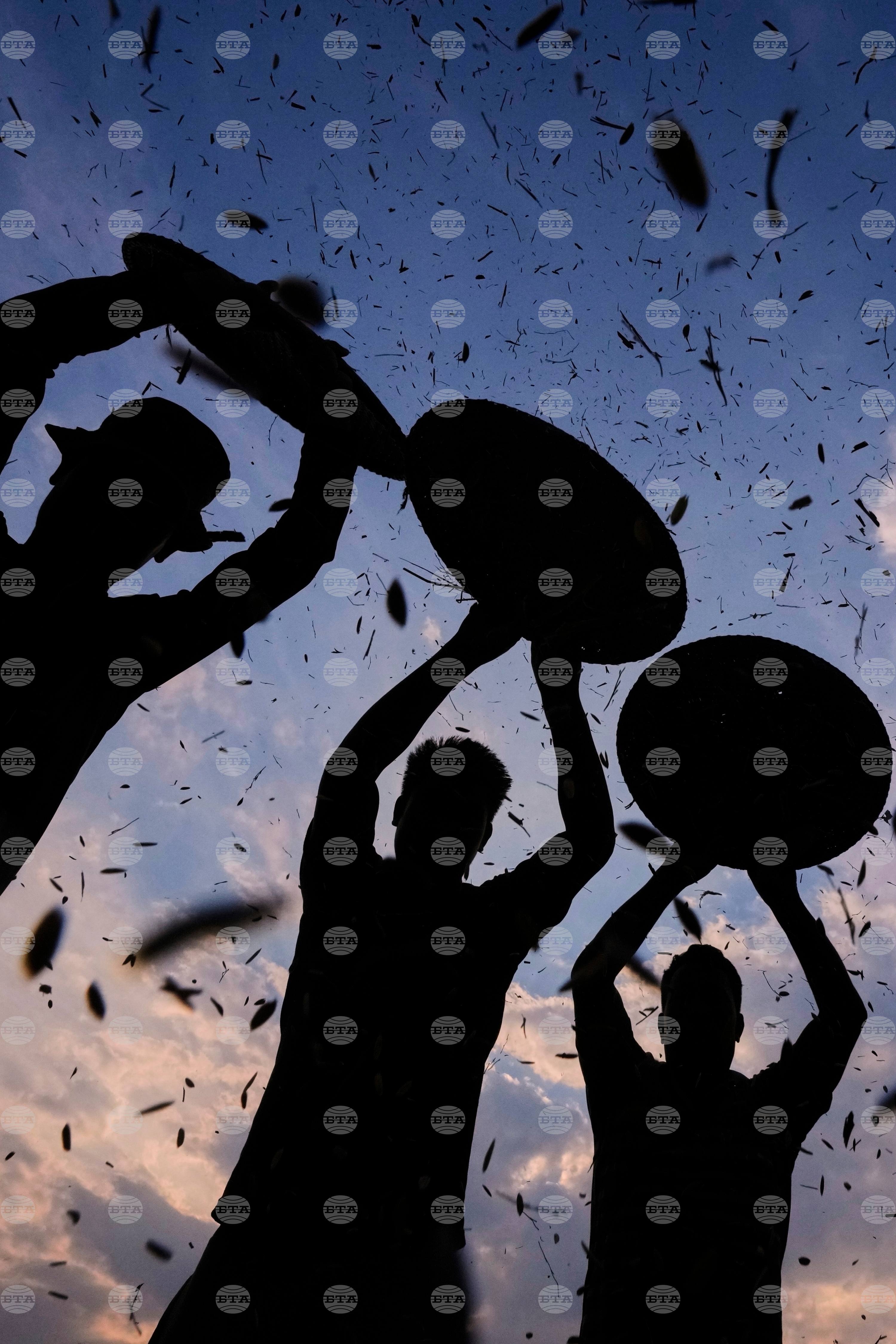 Top Vertical Photos Photo Gallery