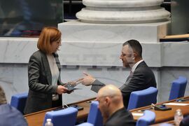 Народно събрание - заседание - Петър Петров