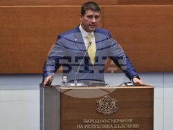 Народно събрание - заседание - Ивелин Михайлов