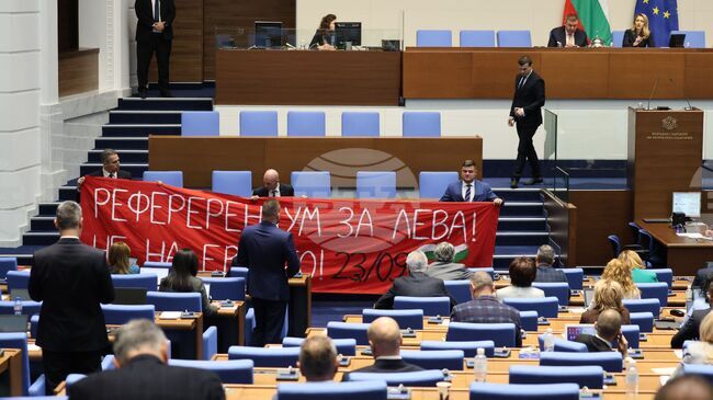 Euro Adoption Referendum Back on Parliament's Agenda