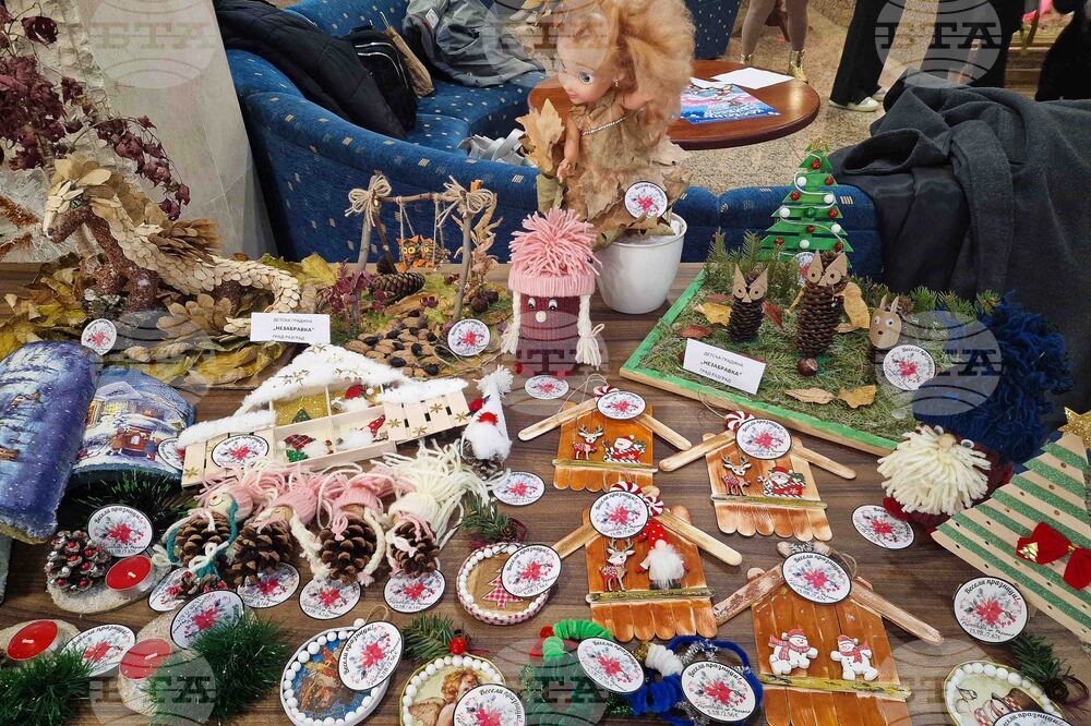 Разград - деца със специални образователни потребности - коледна изложба-базар