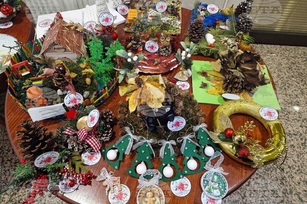 Разград - деца със специални образователни потребности - коледна изложба-базар