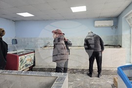 Свищов - Никулден - риба - цени