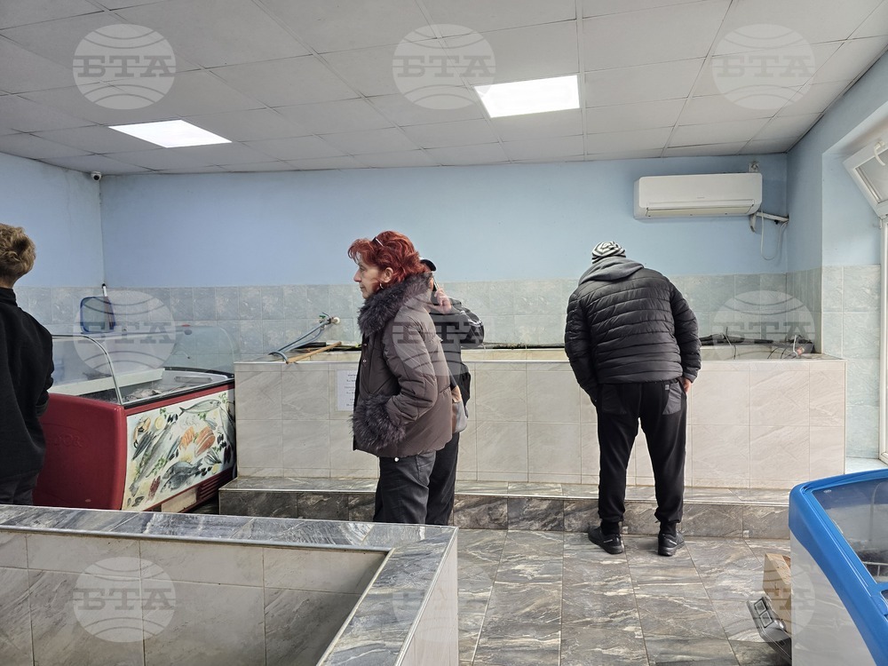 Свищов - Никулден - риба - цени