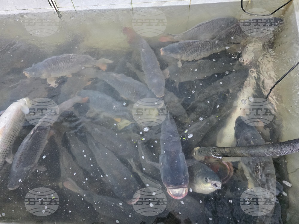 Проект за 3 млн. лева на Местна инициативна рибарска група "Свищов - Ценово" е одобрен за изпълнение по програмата за морско дело