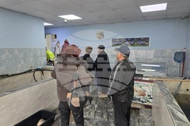 Свищов - Никулден - риба - цени