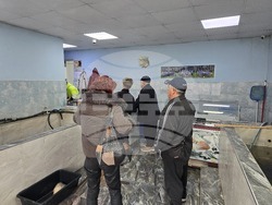 Свищов - Никулден - риба - цени