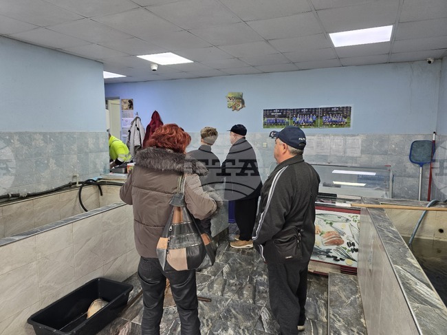 Свищов - Никулден - риба - цени