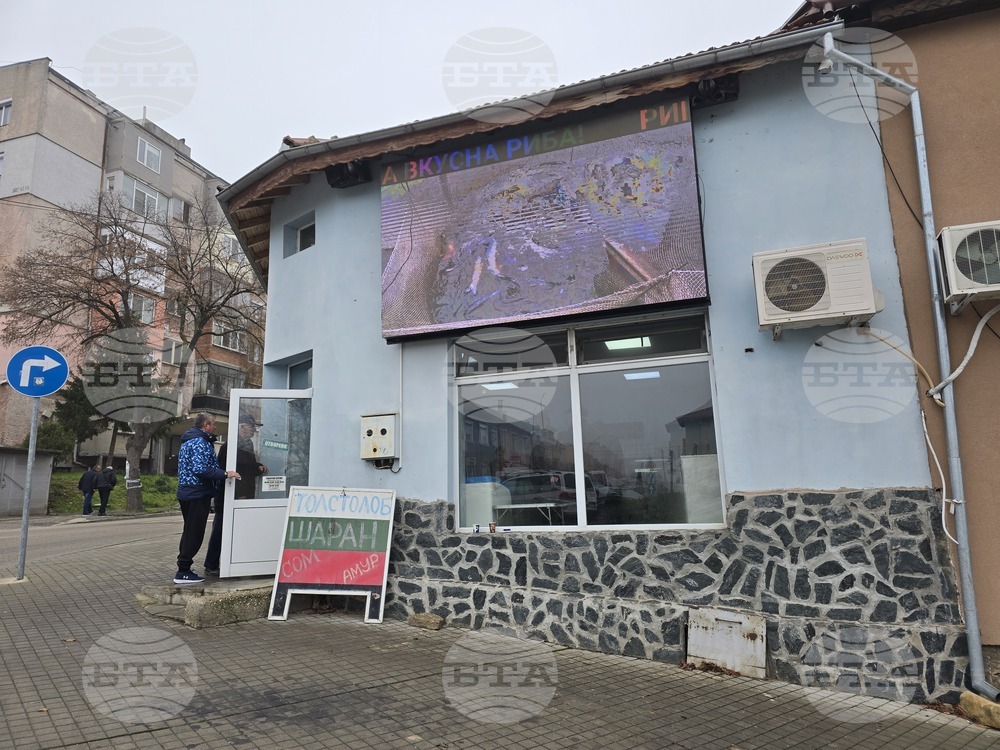 Свищов - Никулден - риба - цени