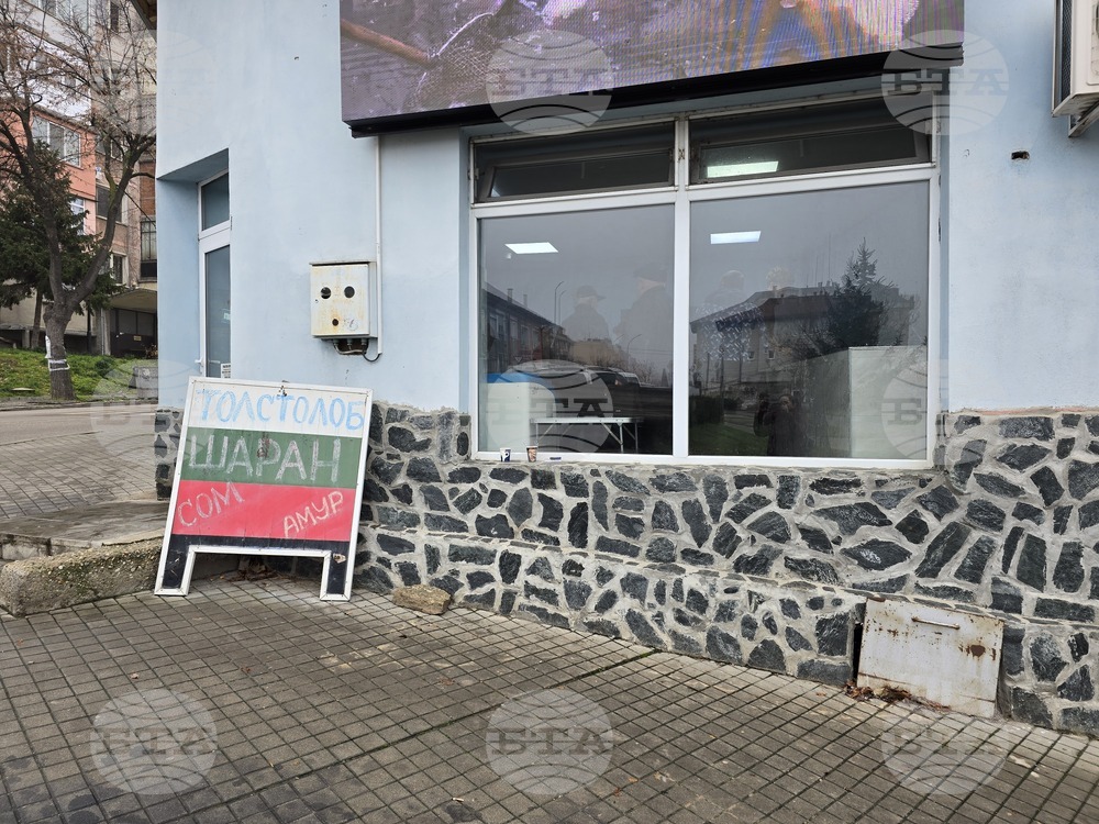 Свищов - Никулден - риба - цени