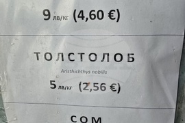 Свищов - Никулден - риба - цени