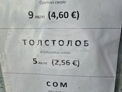 Свищов - Никулден - риба - цени