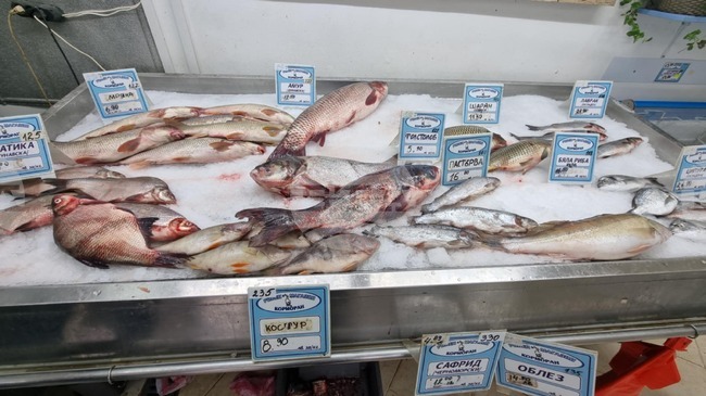 За поредна година шаранът остава най-търсената риба от силистренци в навечерието на Никулден