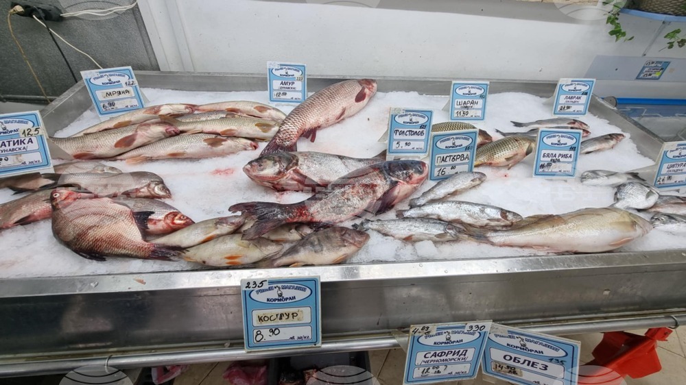 За поредна година шаранът остава най-търсената риба от силистренци в навечерието на Никулден