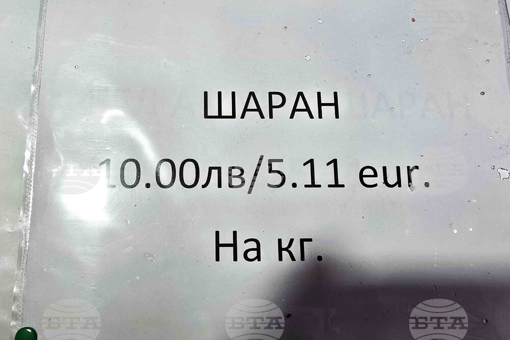 Видин - Никулден - риба - цени