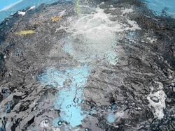 Видин - Никулден - риба - цени