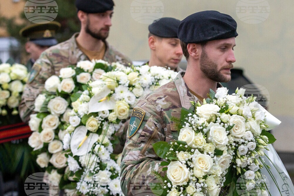 Lithuania Belgian Soldier