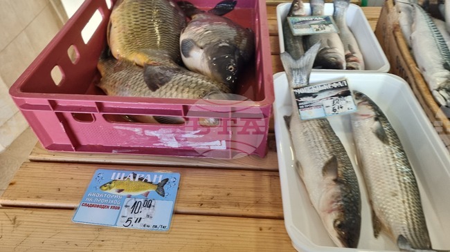 В навечерието на Никулден килограм жив шаран на пазара в Сливен се продава за 10 лева